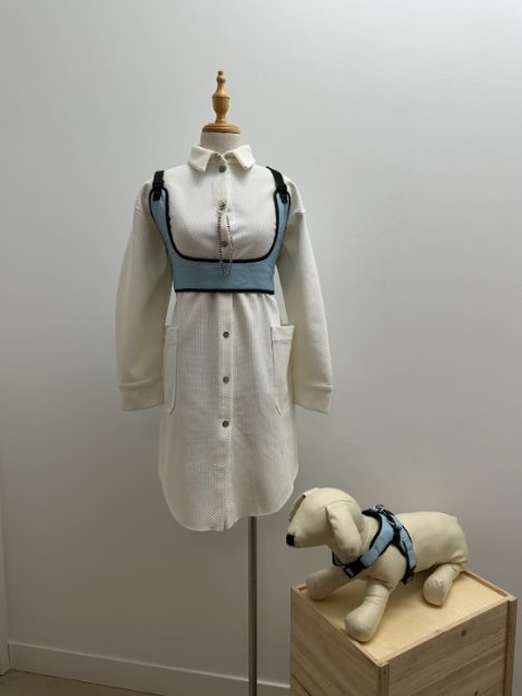 Picture of Shirt Dress with Leather Bustier and Doggie Harness