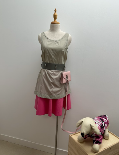 Picture of Vest  with Skirt, Leather Pouch and Leash