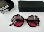 Picture of Lenny Rose Tortoise