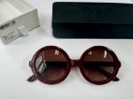 圖片 Lenny Rose Tortoise (Suggest Age: 3-6yr)